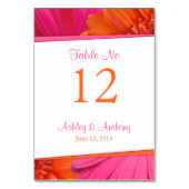 Roze Sinaasappel Gerbera Daisy Flower Wedding Kaart (Achterkant)