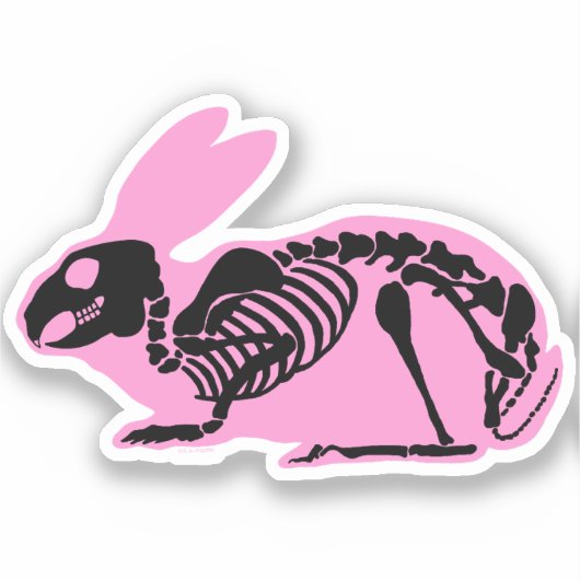 Roze Skelet Konijn Sticker (Voorkant)