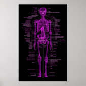 roze skelet poster (Voorkant)