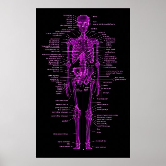 roze skelet poster (Voorkant)