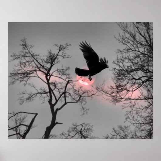 Roze Sky Stripe Poster (Voorkant)