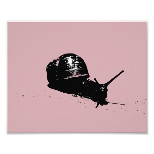 Roze slak foto afdruk (Voorkant)