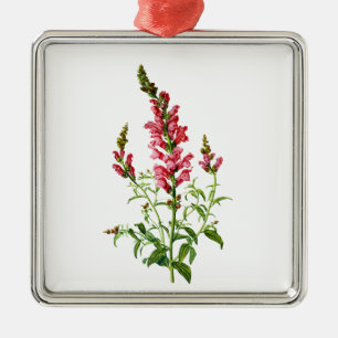 Roze Snapdragon getekend uit Natuur Metalen Ornament