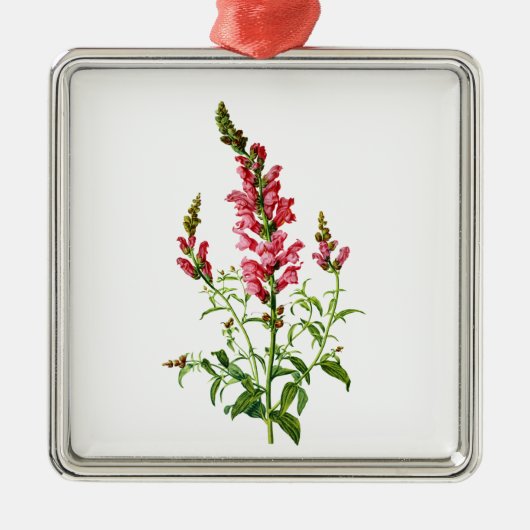 Roze Snapdragon getekend uit Natuur Metalen Ornament (Voorkant)