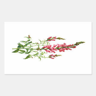 Roze Snapdragon getekend uit Natuur Rechthoekige Sticker