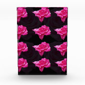 Roze Snoep, Fotoblokken (Voorkant)
