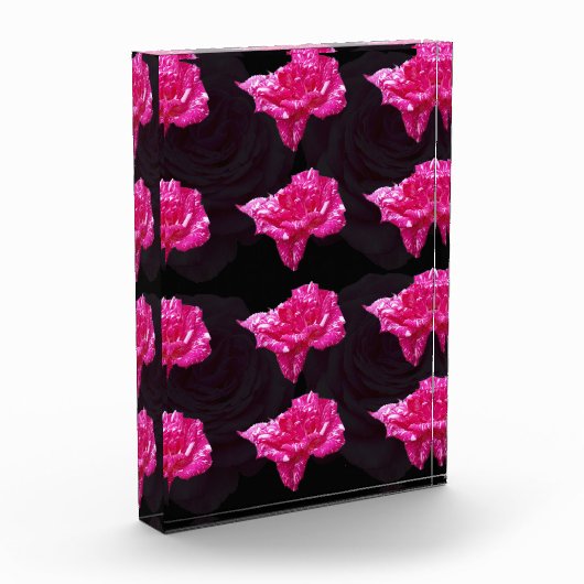 Roze Snoep, Fotoblokken (Links)