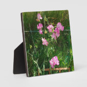 Roze snoepgoed fotoplaat (Voorkant)