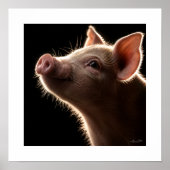 Roze Snuit Dromen Poster (Voorkant)