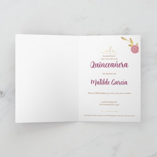 Roze Spaans Quinceanera (Binnen)