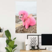 ROZE SPEELGOEDPOEDEL AAN HET STRAND POSTER (Thuiskantoor)