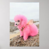 ROZE SPEELGOEDPOEDEL AAN HET STRAND POSTER (Voorkant)