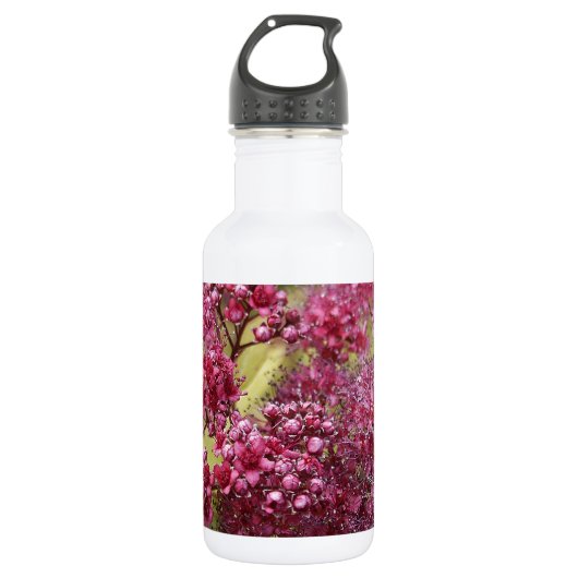 Roze Spirea Waterfles (Voorkant)