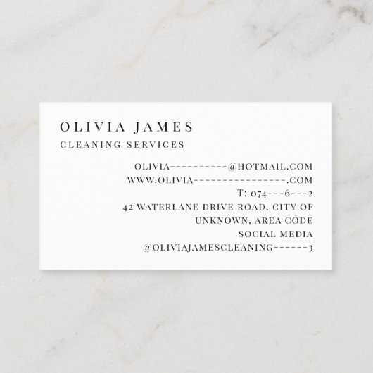Roze Spray Schoonmaak Diensten Huishoudster Visitekaartje (Achterkant)