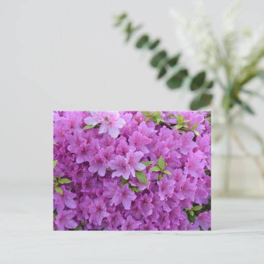 Roze Spring Azaleas Briefkaart (Staand voorkant)