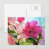 Roze Spring Blossom Briefkaart (Voorkant / Achterkant)