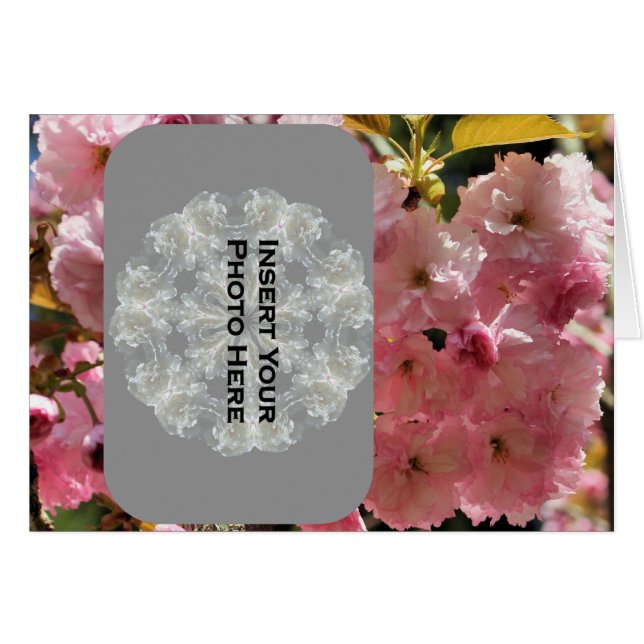 Roze Spring Blossom Photo Card (Voorkant Horizontaal)