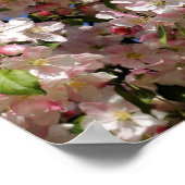 Roze Spring Crabapple Flower Blossom 4 Poster (Hoek)