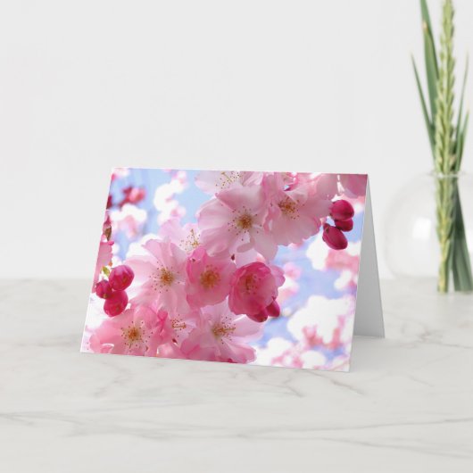 Roze springbloesem feestdagen kaart (Voorkant)