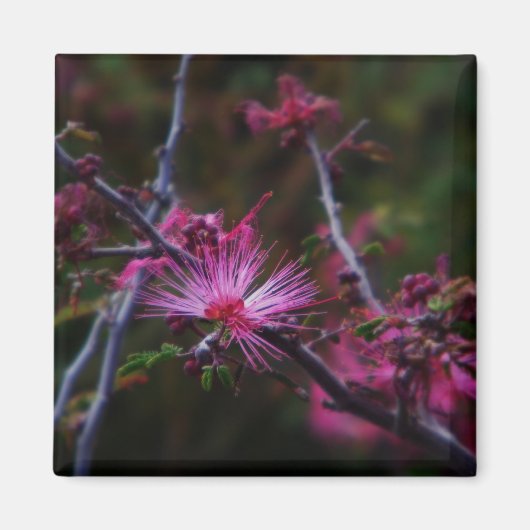 Roze Sprookje Magneet (Voorkant)