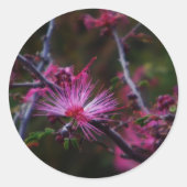 Roze Sprookje sticker (Voorkant)