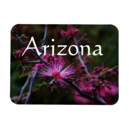 roze sprookjesdonselaar magneet, Arizona Magneet