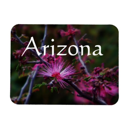 roze sprookjesdonselaar magneet, Arizona Magneet (Horizontaal)