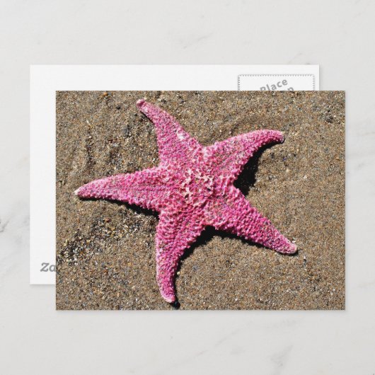 Roze Starfish Briefkaart (Voorkant / Achterkant)