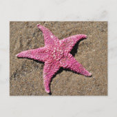 Roze Starfish Briefkaart (Voorkant)