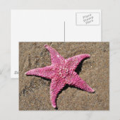 Roze Starfish Briefkaart (Voorkant / Achterkant)