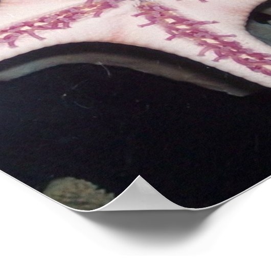 Roze Starfish Poster (Hoek)