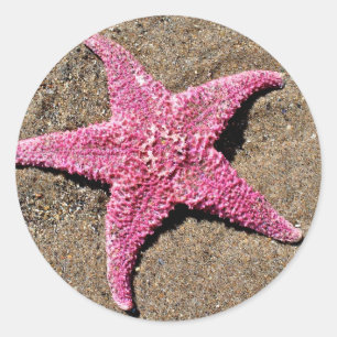 Roze Starfish Ronde Sticker