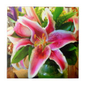 roze stargazer - lelie tegeltje (Voorkant)