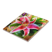 roze stargazer - lelie tegeltje (Zijkant)