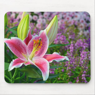 Roze stargazer lib printmousepad muismat