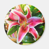 roze stargazer libe magnet (Voorkant)