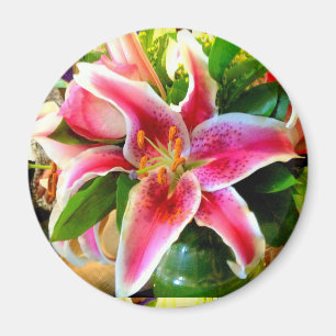 roze stargazer libe magnet