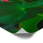 Roze Stargazer Lilies AI Art Poster (Hoek)