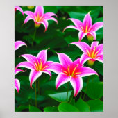 Roze Stargazer Lilies AI Art Poster (Voorkant)