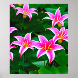 Roze Stargazer Lilies AI Art Poster