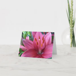 Roze Stargazer Lilly in de tuin Feestdagen Kaart