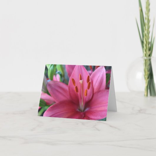 Roze Stargazer Lilly in de tuin Feestdagen Kaart (Voorkant)