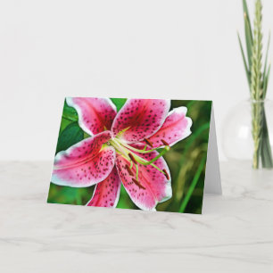 Roze Stargazer Lily Blank Kaart