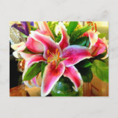 roze stargazer lily briefkaart (Voorkant)