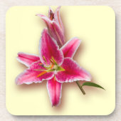 Roze Stargazer Lily en Bud Bier Onderzetter (Voorkant)