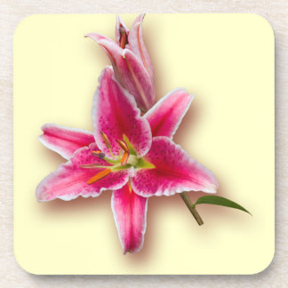 Roze Stargazer Lily en Bud Bier Onderzetter