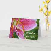 Roze Stargazer Lily Flower Birthday Kaart (Gele Bloem)