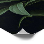 Roze Stargazer Lily Flowers Art Print Poster (Hoek)