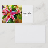 roze stargazer lily visitekaartje (Voorkant / Achterkant)