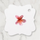 Roze stekelstaartwindstokers Weddenschap Label (Achterkant)